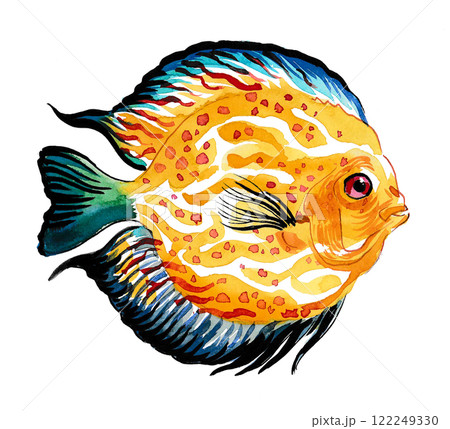Coral fish. hand drawn watercolour painting Coral fish. hand drawn watercolour painting 122249330