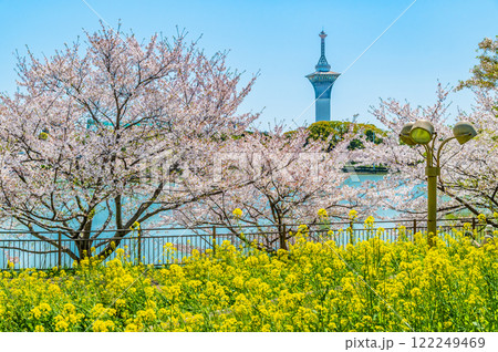 大阪 桜咲く花博記念公園 122249469