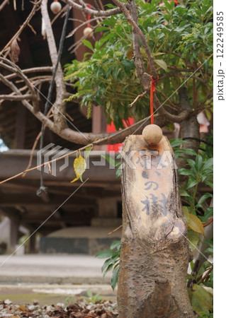 なごや七福神めぐり　八事興正寺　願いの樹 122249585