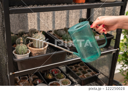 Cropped shot view of woman hands watering cactus. Water your cactus only when the soil is completely dry. 122250028