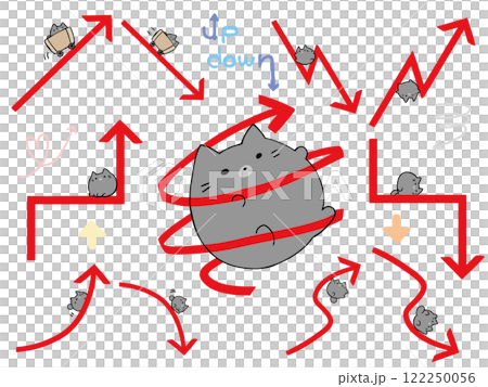 Arrow Summary Cat 122250056