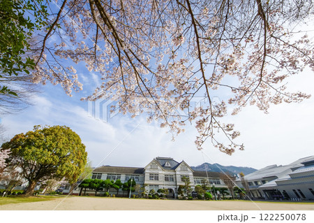 桜咲く木造校舎　岡山県真庭市「旧遷喬尋常小学校」 122250078