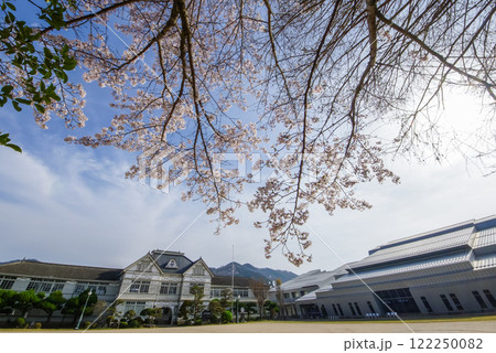 桜咲く木造校舎　岡山県真庭市「旧遷喬尋常小学校」 122250082