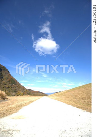 白い道 白い道 122250101