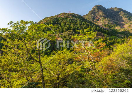 新緑若葉 神が宿る山 洋上アルプス屋久島 新緑若葉 神が宿る山 洋上アルプス屋久島 122250262