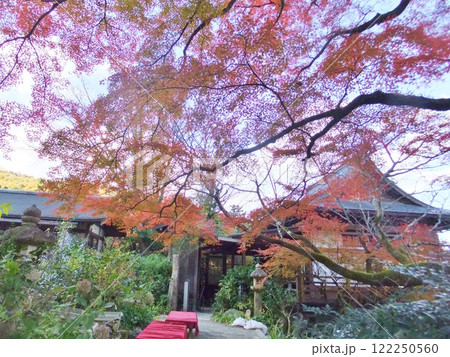 嵐山　千光寺の秋 122250560