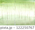 森 122250767