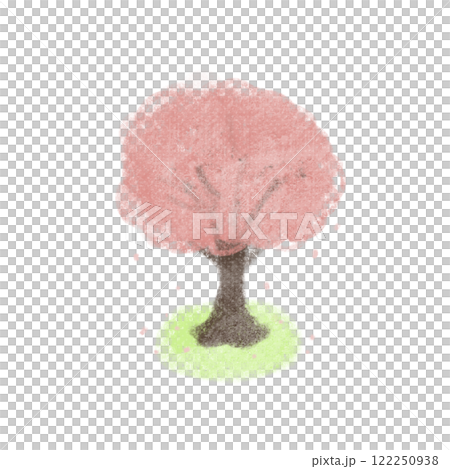 水彩で描いたシンプルな桜のイラスト 122250938