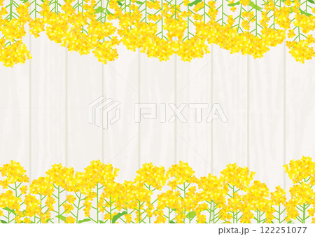 菜の花ボード、イラスト、背景、かわいい、横 菜の花ボード、イラスト、背景、かわいい、横 122251077