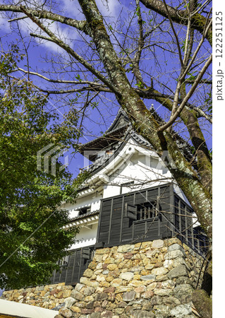 犬山城　天守閣　愛知県犬山市 122251125