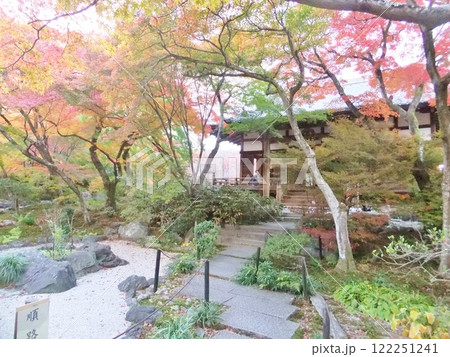 秋の紅葉 宝筺院 秋の紅葉 宝筺院 122251241