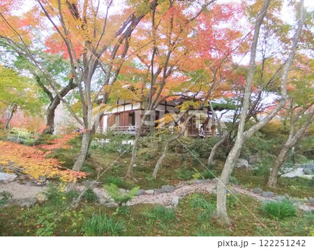 秋の紅葉　宝筺院 122251242