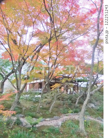 秋の紅葉 宝筺院 秋の紅葉 宝筺院 122251243