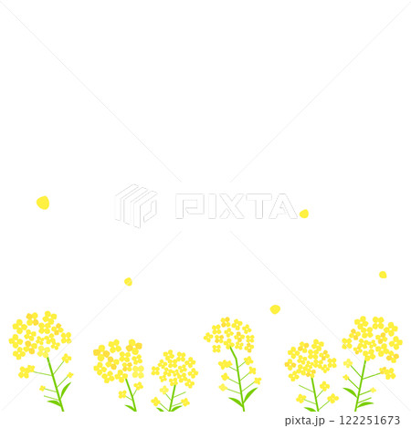 黄色い菜の花のフレーム背景 黄色い菜の花のフレーム背景 122251673