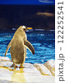 たたずむペンギン 122252541