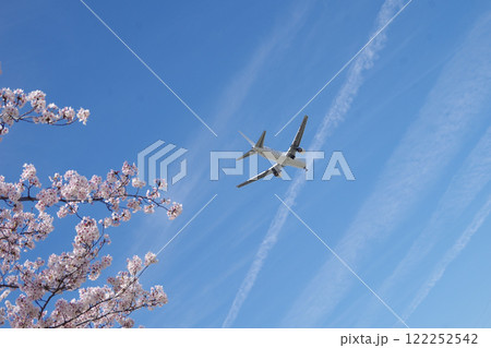 桜と飛行機と青空 桜と飛行機と青空 122252542