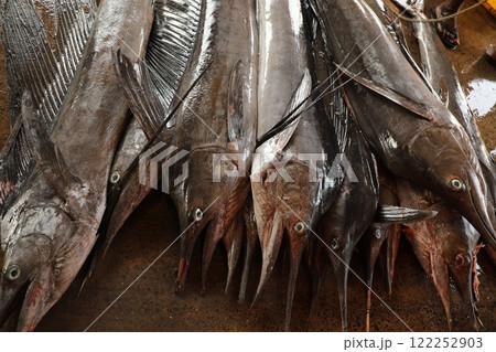 Dead Fishes In the Boat 122252903