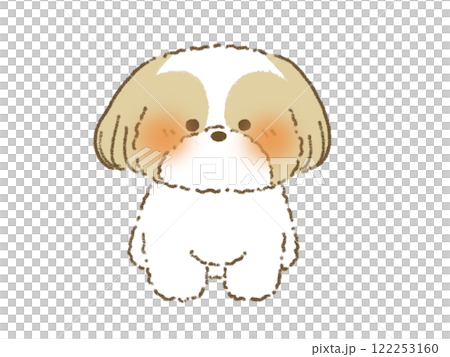 西施犬坐著的插圖 122253160