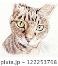 水彩画で描いた見つめる猫 122253768