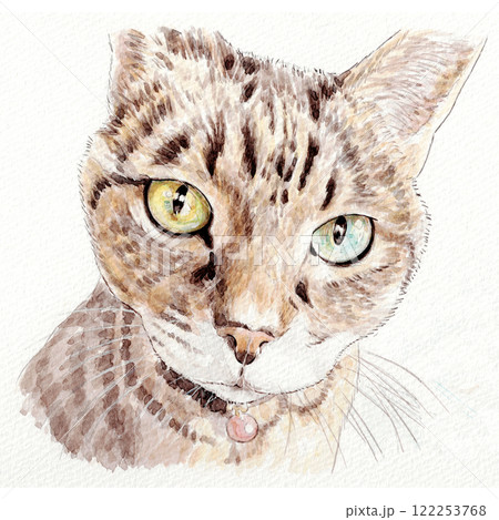 水彩画で描いた見つめる猫 水彩画で描いた見つめる猫 122253768