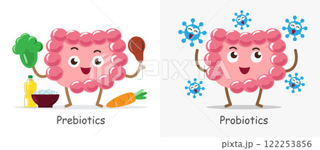 Prebiotics and Probiotics , Intestine cartoon character . Vector . Prebiotics and Probiotics , Intestine cartoon character . Vector . 122253856
