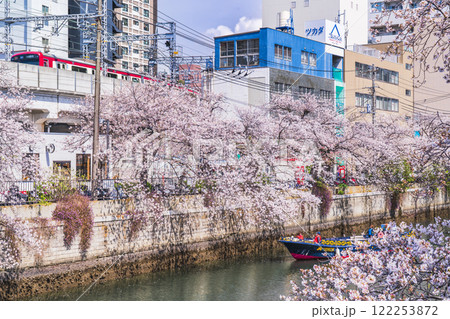春の横浜・大岡川の都市風景【神奈川県・横浜市】 122253872