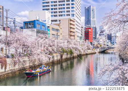 春の横浜の都市風景 桜咲く大岡川を行く観光船【神奈川県・横浜市】 春の横浜の都市風景 桜咲く大岡川を行く観光船【神奈川県・横浜市】 122253875