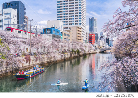 春の横浜・大岡川 桜咲く川沿いの都市風景【神奈川県・横浜市】 春の横浜・大岡川 桜咲く川沿いの都市風景【神奈川県・横浜市】 122253876