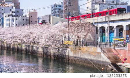 春の横浜　桜咲く大岡川沿いを走る京急線【神奈川県・横浜市】 122253878