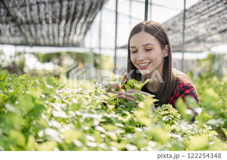 Female Farmer Cultivating Organic Vegetables in a Modern Greenhouse Setting for Sustainable Agriculture Female Farmer Cultivating Organic Vegetables in a Modern Greenhouse Setting for Sustainable Agriculture 122254348