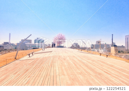 横浜大さん橋クジラの背中で見た満開の桜春うらら 横浜大さん橋クジラの背中で見た満開の桜春うらら 122254521