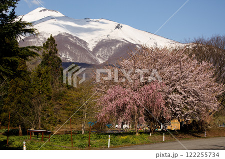 桜と岩木山(青森県) 桜と岩木山(青森県) 122255734