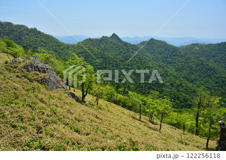 旭登山口から釈迦ヶ岳の登山道 【奈良県十津川村】 旭登山口から釈迦ヶ岳の登山道 【奈良県十津川村】 122256118