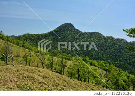 旭登山口から釈迦ヶ岳の登山道 【奈良県十津川村】 旭登山口から釈迦ヶ岳の登山道 【奈良県十津川村】 122256120