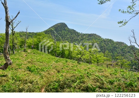 旭登山口から釈迦ヶ岳の登山道 【奈良県十津川村】 旭登山口から釈迦ヶ岳の登山道 【奈良県十津川村】 122256123