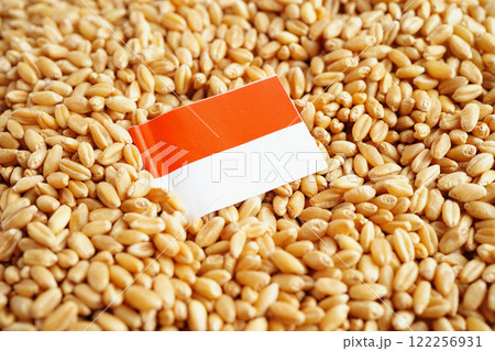 Monaco flag on grain wheat, trade export and economy concept. Monaco flag on grain wheat, trade export and economy concept. 122256931