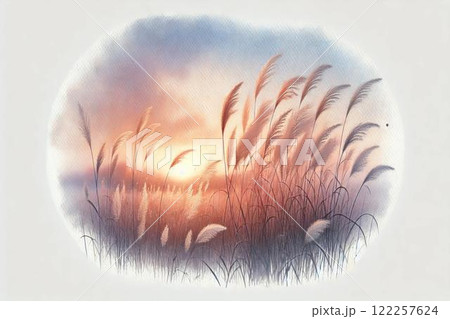 夕景・ススキの野原 夕景・ススキの野原 122257624