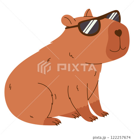 Cute capybara character. Exotic rodent in sunglasses. Hand drawn vector illustration. 122257674
