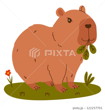 Funny capybara. Exotic rodent eating leaves. Hand drawn vector illustration. Funny capybara. Exotic rodent eating leaves. Hand drawn vector illustration. 122257701