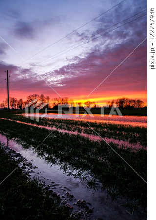 Very beautiful colorful sunset in the spring countryside Very beautiful colorful sunset in the spring countryside 122257936