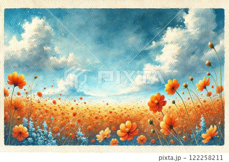 キバナコスモス キバナコスモス 122258211