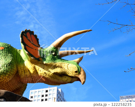 恐竜のいる風景 トリケラトプス 122258235