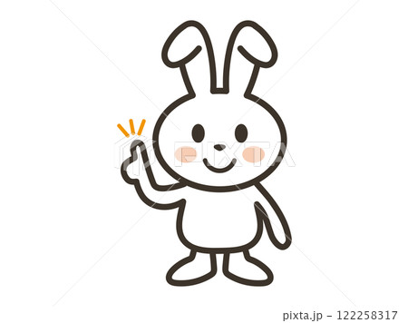 ポイントを説明するかわいい白いうさぎさんのイラスト ポイントを説明するかわいい白いうさぎさんのイラスト 122258317