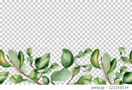 Branch of citrus tree with leaves in watercolor on seamless banner isolated. Bergamot tree greenery sprigs hand drawn on repeating border. Foliage texture for wedding invitation, packaging, label 122258534