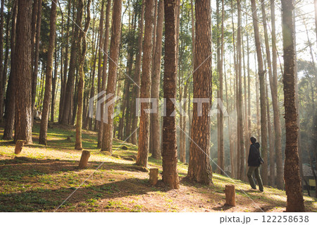 travel and people activity concept with asian man hiking in tropical forest with pine tree on mountain 122258638