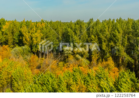 Agricultural fields with young green shoots of grain crops and plowed field without sowing. With trees in the background on the hills. Fallow concept. Alternation. Agricultural fields with young green shoots of grain crops and plowed field without sowing. With trees in the background on the hills. Fallow concept. Alternation. 122258764