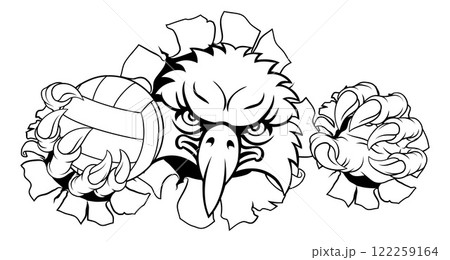 Eagle Hawk Bird Volleyball Volley Ball Mascot 122259164