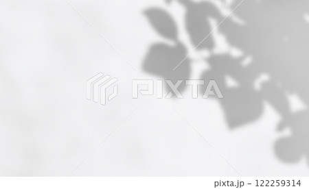 Soft Blurred Shadow Overlay with Natural Leaf Patterns for Elegant Backgrounds, Branding, and Social Media Design. Vector illustration 122259314