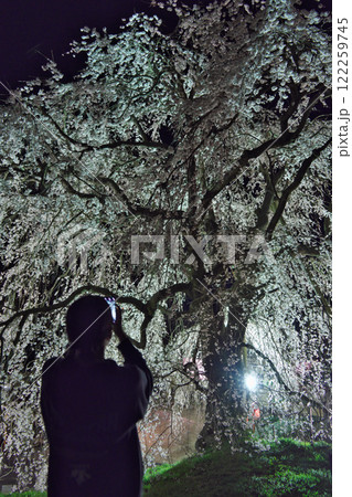 夜桜を撮影する人(段部:雲南市加茂町) 夜桜を撮影する人(段部:雲南市加茂町) 122259745
