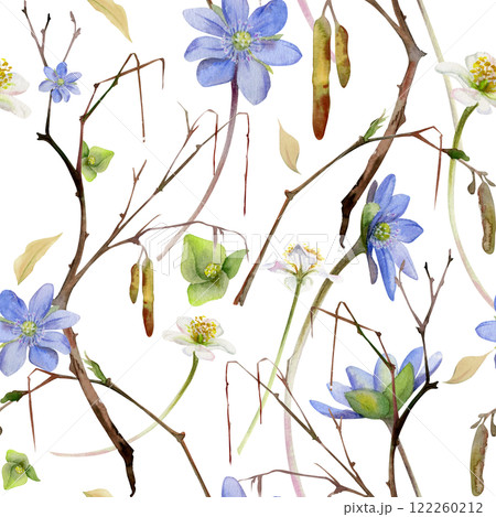 Branch with catkins, spring flowers blue hepatica forget-me-not, white forest anemone primrose, watercolor hand drawn. Seamless pattern botanical illustration isolated on white. Wedding, florist shop 122260212